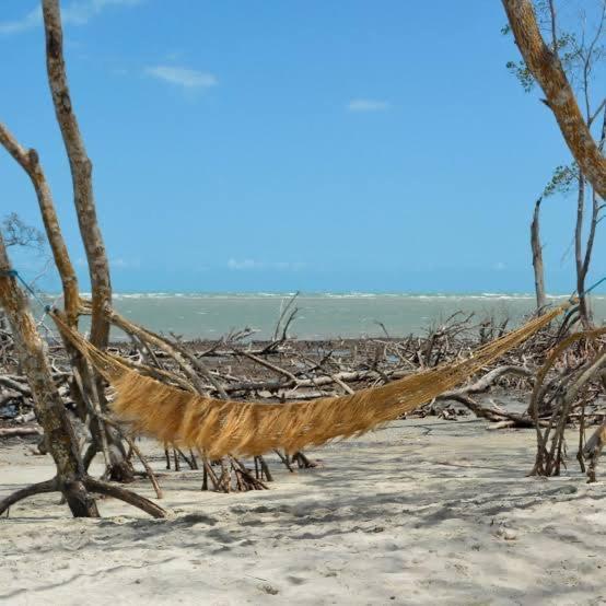 Casa Jasmin Villa Jericoacoara Eksteriør billede