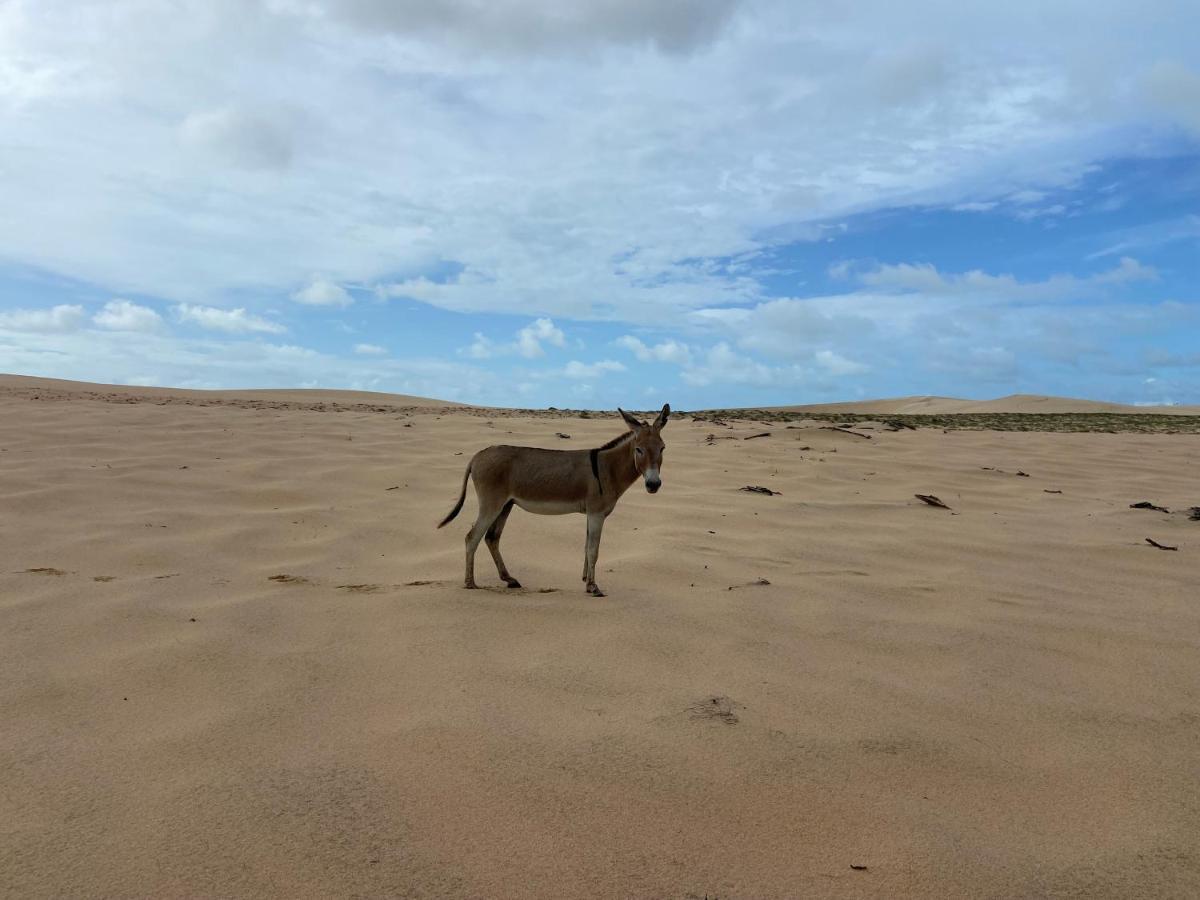 Casa Jasmin Villa Jericoacoara Eksteriør billede